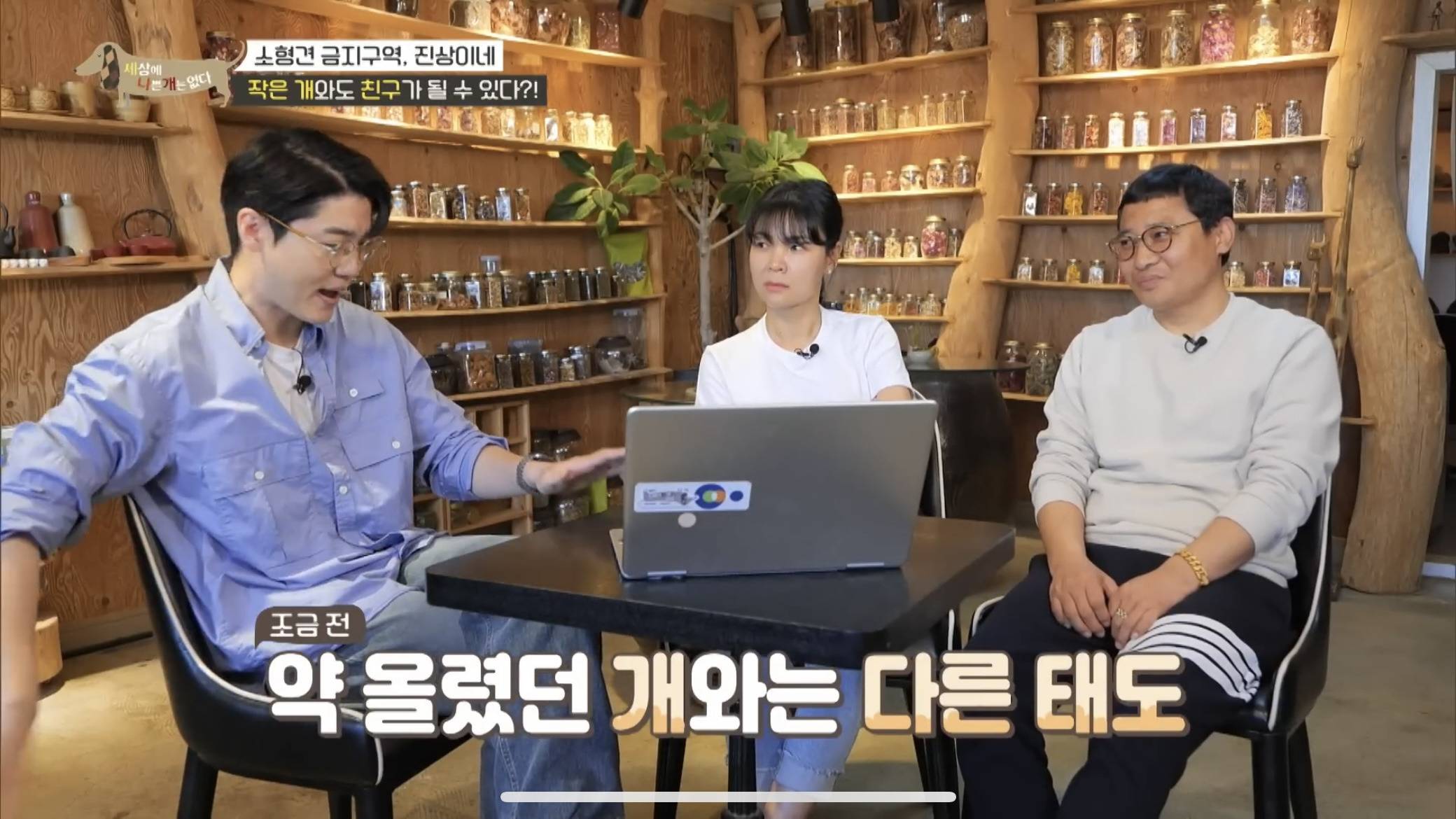 사회성 겁나 좋은 강아지 | 인스티즈