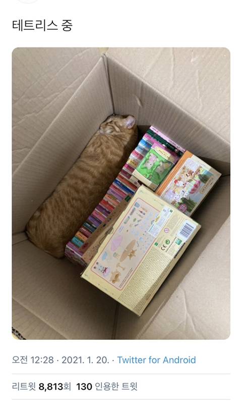 짬지zone.jpg | 인스티즈