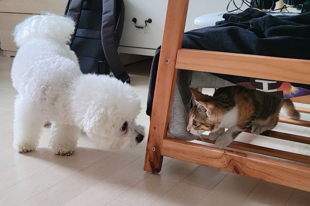 프사 땜에 못참고 사담거는 업체 직원들 넘 웃김 ++ 월요일이니까 조금 더 추가,,, | 인스티즈