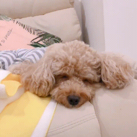 짬지zone.jpg | 인스티즈