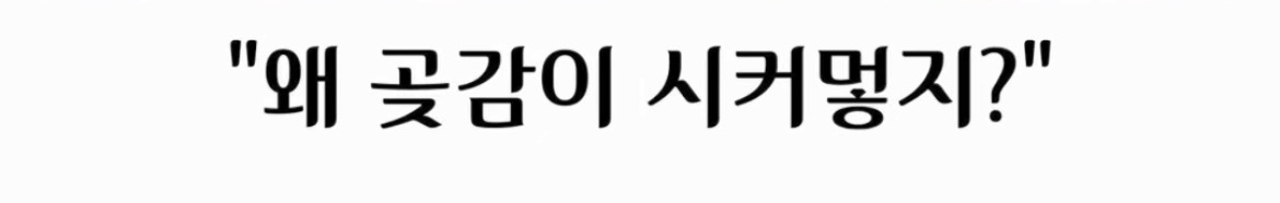 빨간 곶감 절대 그냥 먹으면 안되는 이유 | 인스티즈