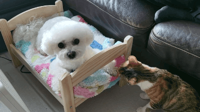 프사 땜에 못참고 사담거는 업체 직원들 넘 웃김 ++ 월요일이니까 조금 더 추가,,, | 인스티즈