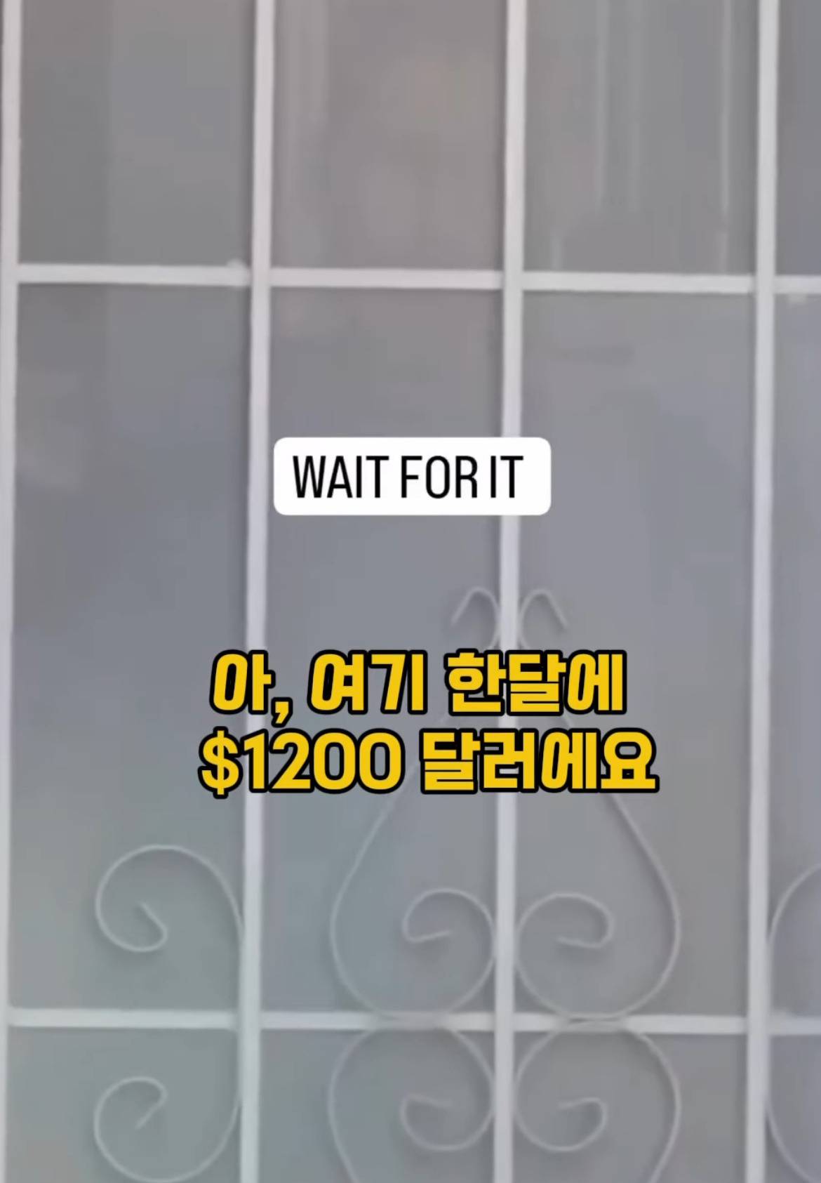 모르는 사람 월세 대신 내주기.jpg | 인스티즈