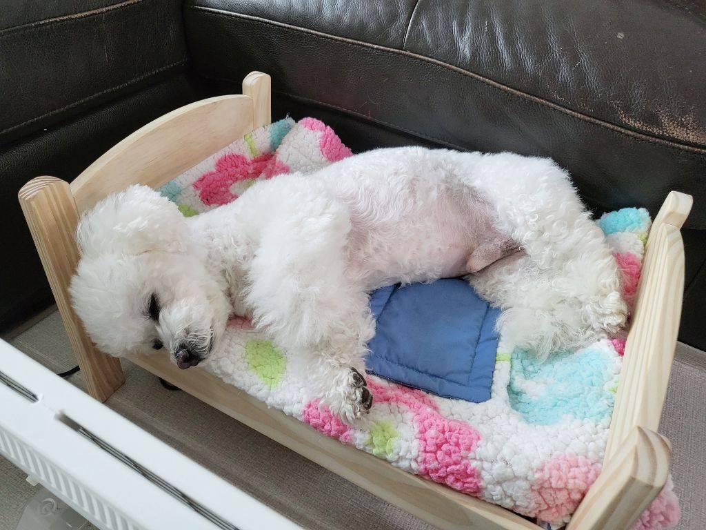 프사 땜에 못참고 사담거는 업체 직원들 넘 웃김 ++ 월요일이니까 조금 더 추가,,, | 인스티즈
