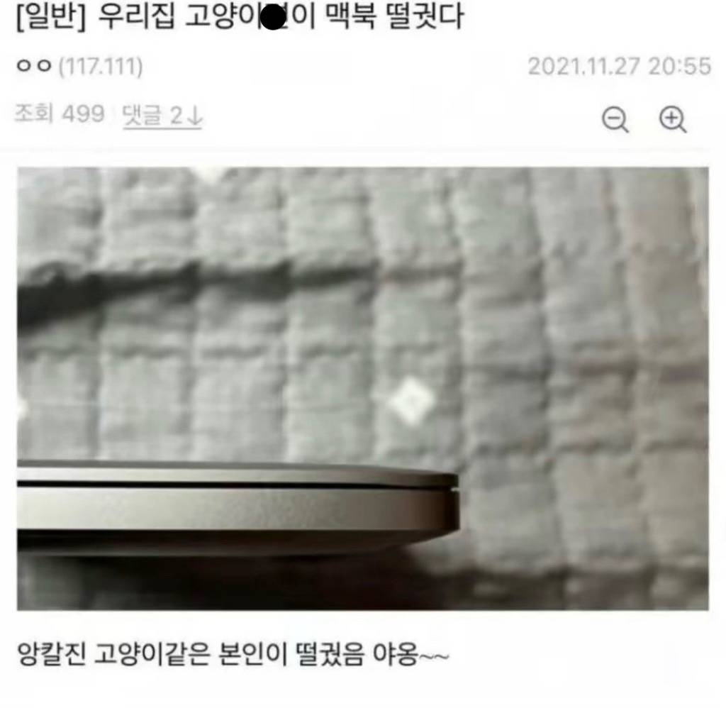 우리 집 고양이가 맥북 떨궜다.jpg | 인스티즈