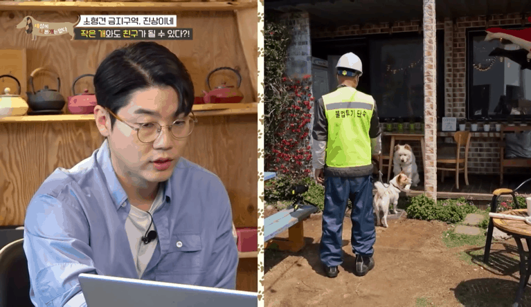 사회성 겁나 좋은 강아지 | 인스티즈