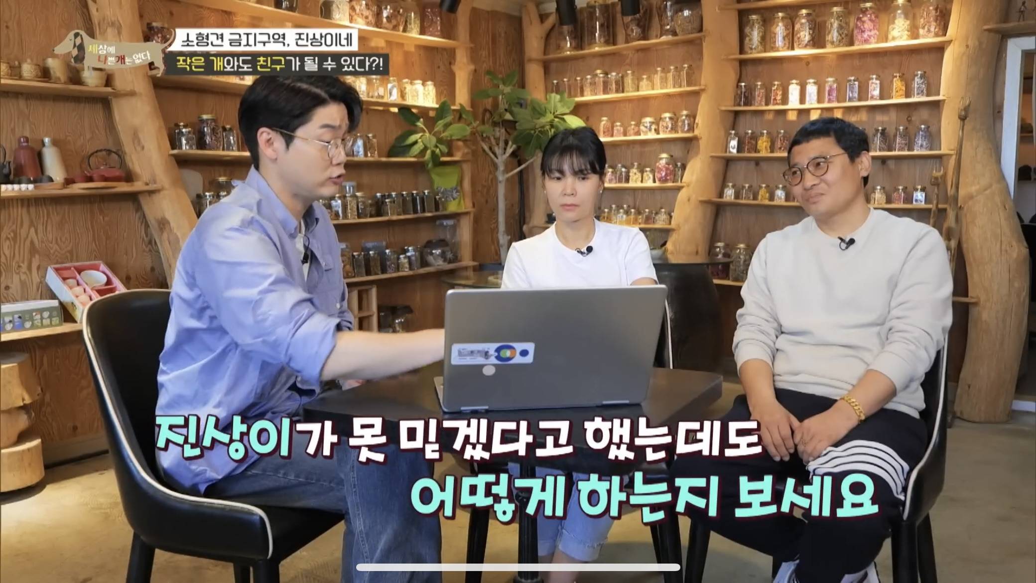 사회성 겁나 좋은 강아지 | 인스티즈