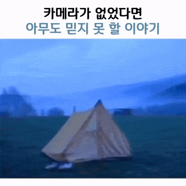 아니 소가 진짜 내 신발을 신고 갔다니까요? | 인스티즈