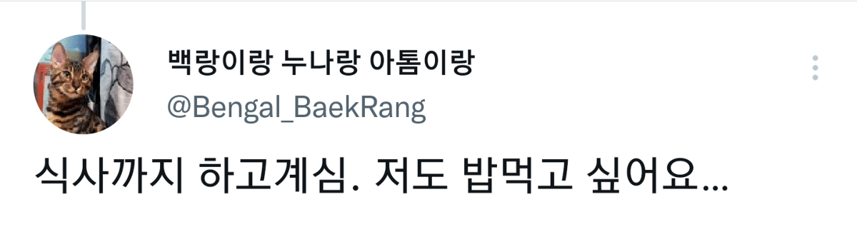 캠핑하러 왔다가 맹수들한테 집 습격당함 ㅜㅜ | 인스티즈