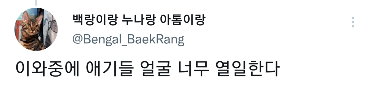 캠핑하러 왔다가 맹수들한테 집 습격당함 ㅜㅜ | 인스티즈