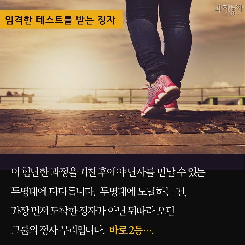 여자 면역력 박살내서 완성하는 시험관 | 인스티즈