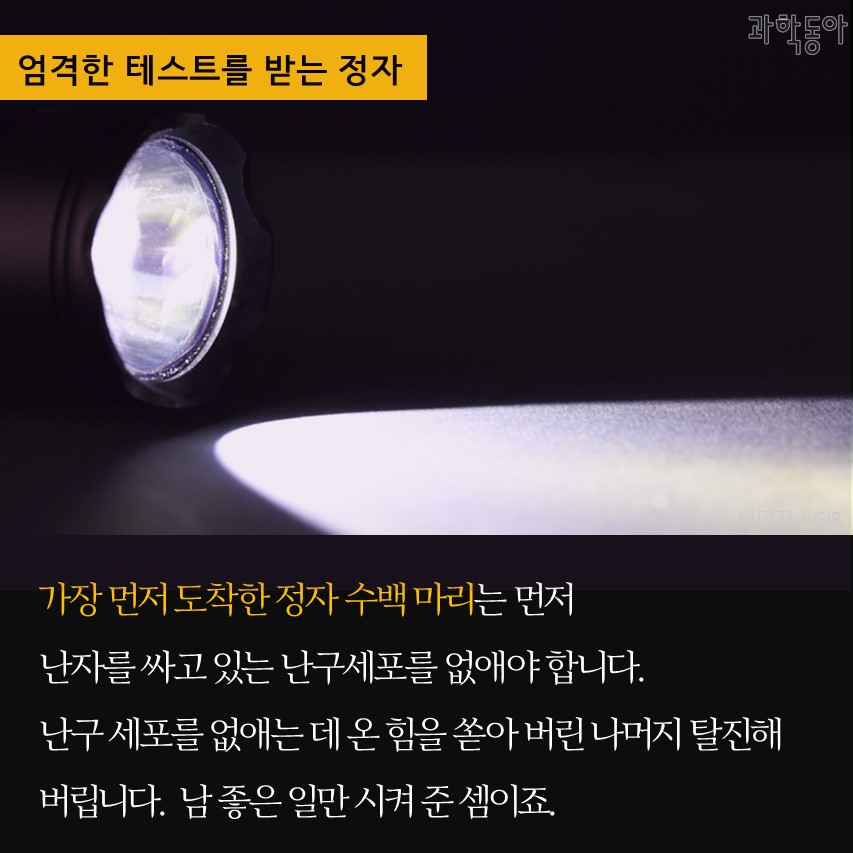 여자 면역력 박살내서 완성하는 시험관 | 인스티즈