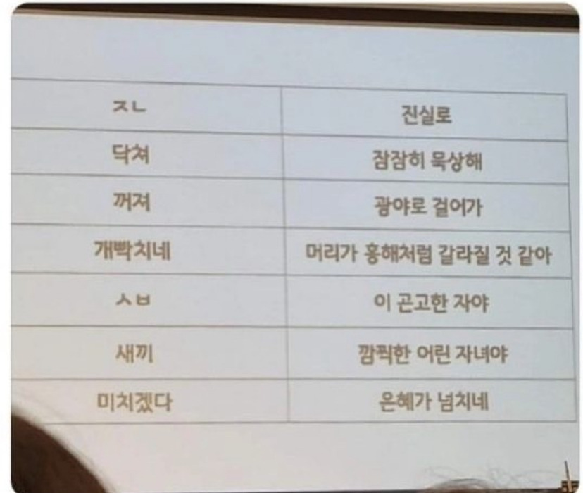 교회에서 욕 대신 쓰라고 알려준 거 | 인스티즈