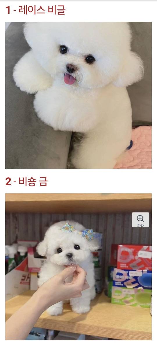 쿠팡의 불법 동물판매 행위 | 인스티즈