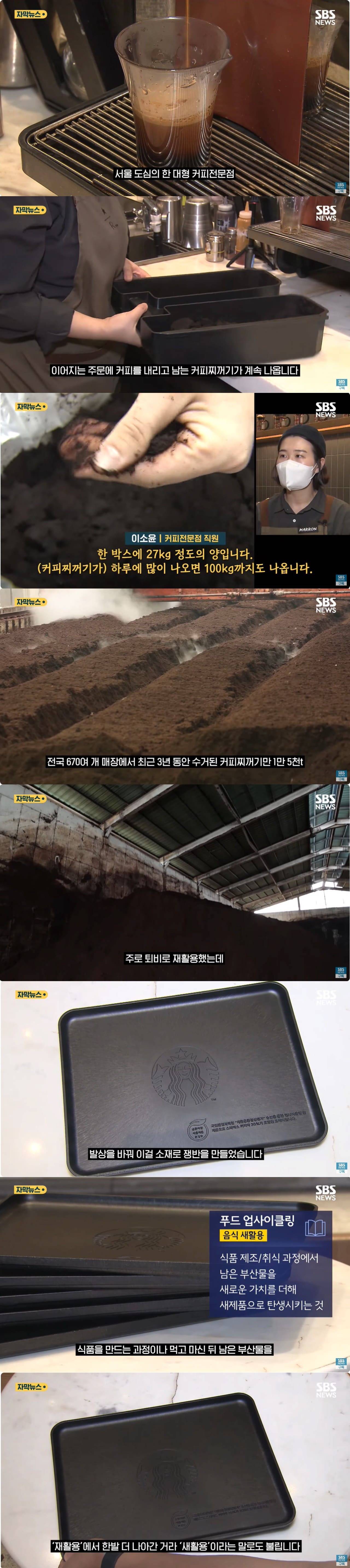 한 카페에서만 하루 100kg…"맛있어요" 쓰레기 '깜짝 반전' | 인스티즈
