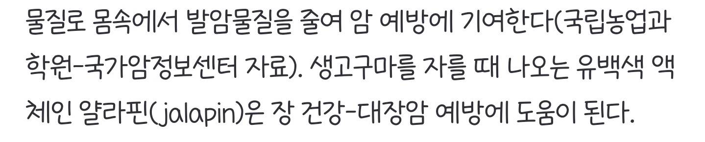 고구마 삶아서 간식으로 자주 먹었더니...노화·대장에 변화가? | 인스티즈