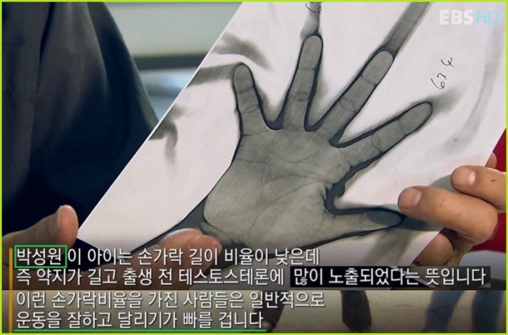 손가락을 보면 운동 잘하는지 알 수 있음.jpg | 인스티즈