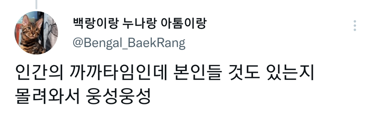캠핑하러 왔다가 맹수들한테 집 습격당함 ㅜㅜ | 인스티즈