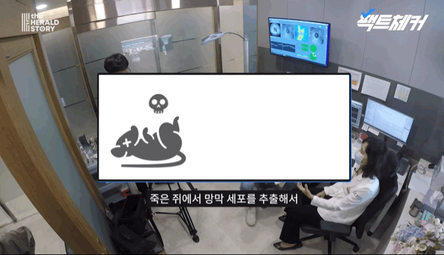 불안심리를 조장하는 블루라이트 마케팅의 진실 | 인스티즈