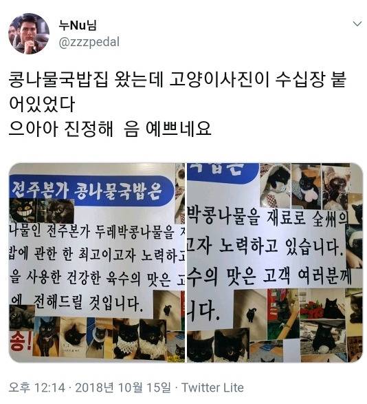 고양이를 너무 자랑하고 싶었던 콩나물 국밥집 사장님 .jpg | 인스티즈