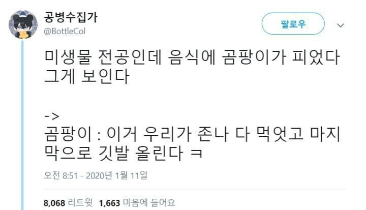 음식에 핀 곰팡이의 의미 | 인스티즈