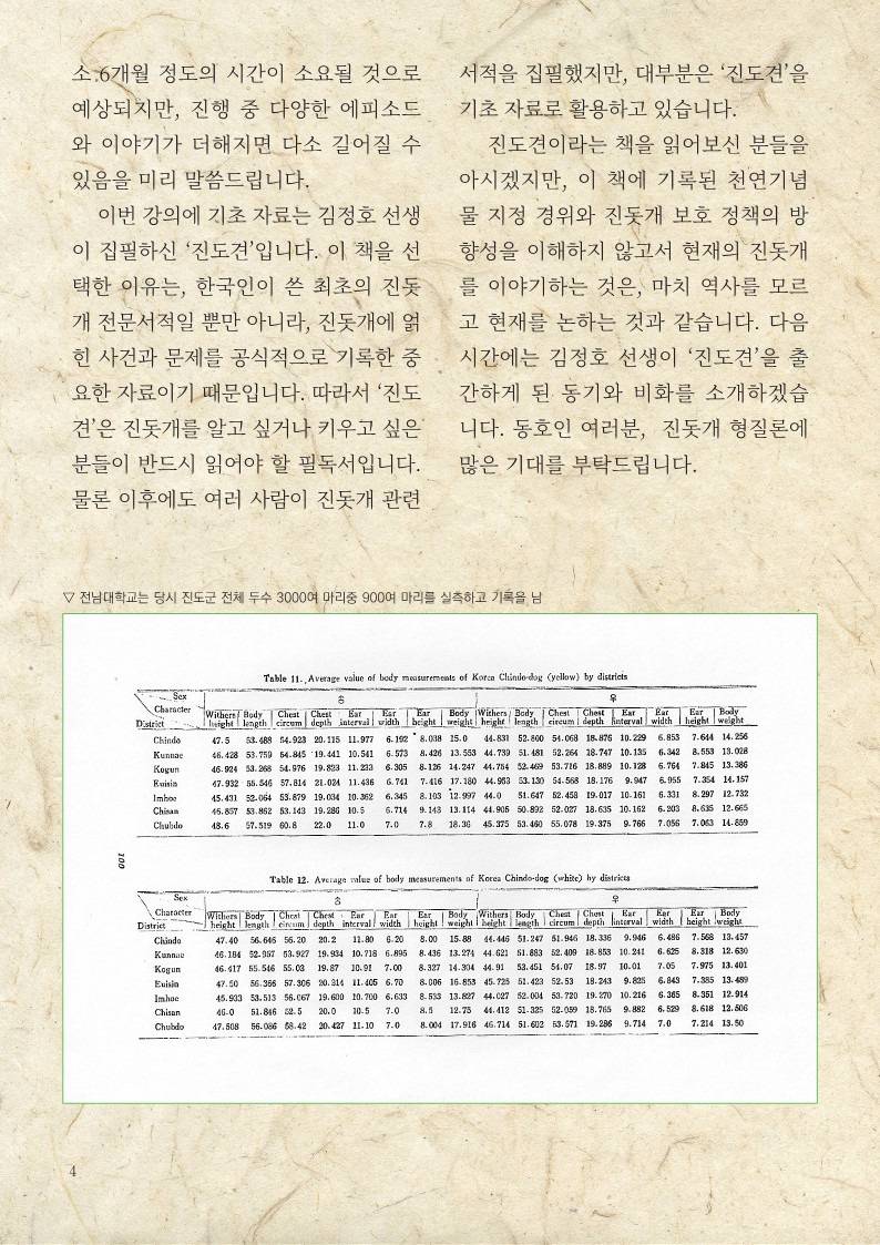 남도의 보물 '진도개' 그 형태와 성질 | 인스티즈