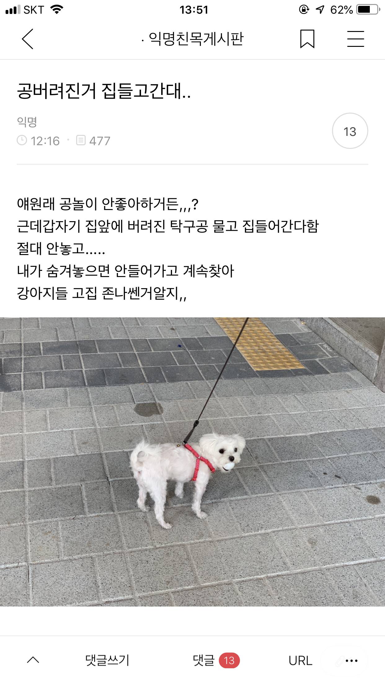 토요일 : 쌕스데이.jpg | 인스티즈