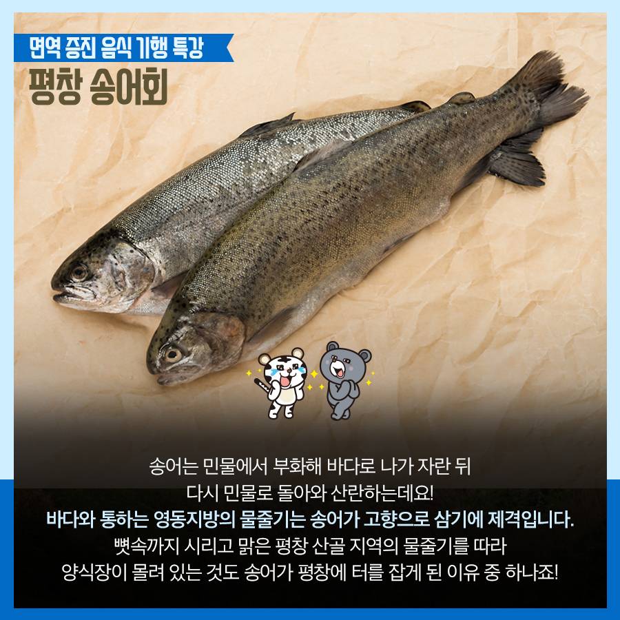 평창 "송어회" | 인스티즈