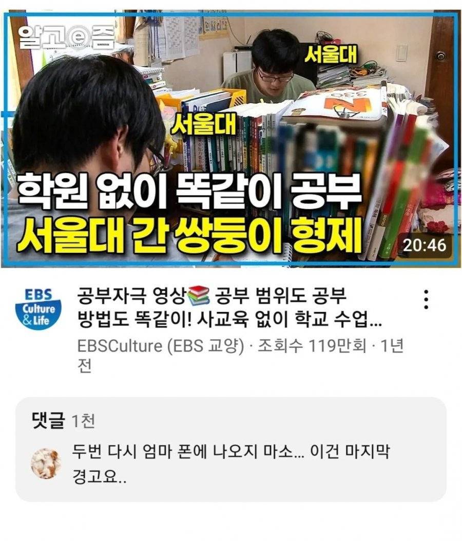 학원 없이 서울대 간 쌍둥이 형제 영상에 달린 협박 댓글 | 인스티즈