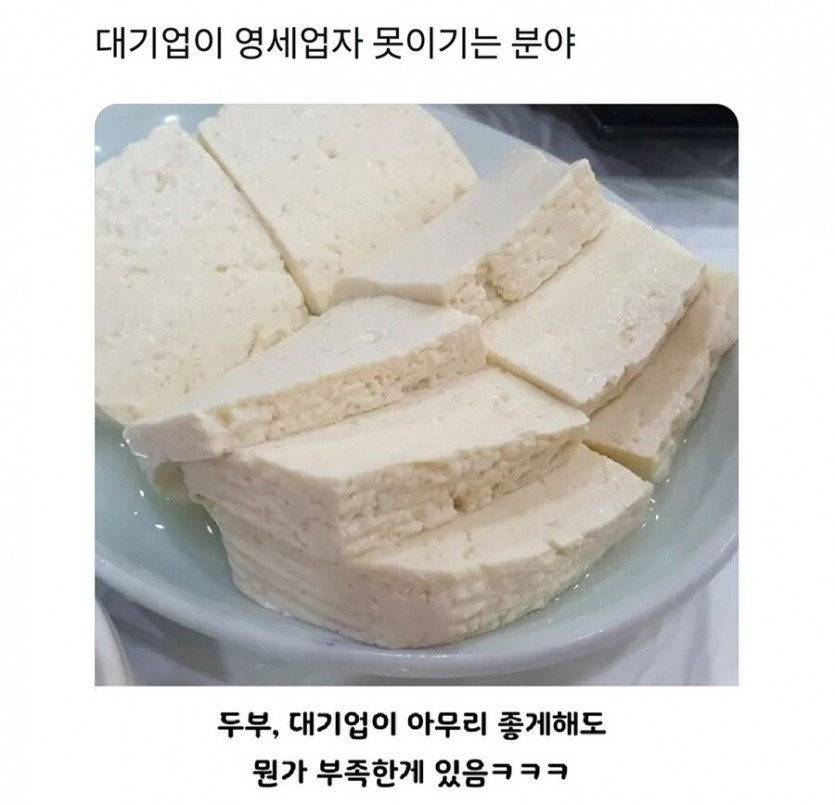 대기업이 영세업자 못 이기는 분야 | 인스티즈