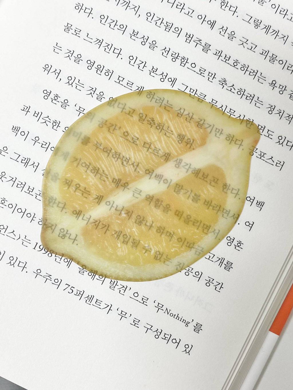 예쁘고 신기한 옥토 작가님의 책갈피 모음.jpg | 인스티즈