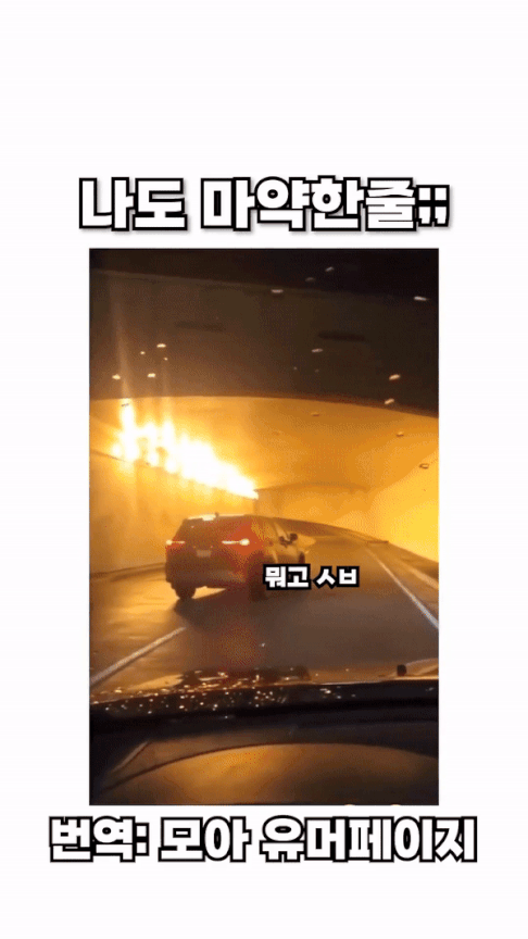 본인이 마약한줄 알았다는 운전자의 시야 | 인스티즈