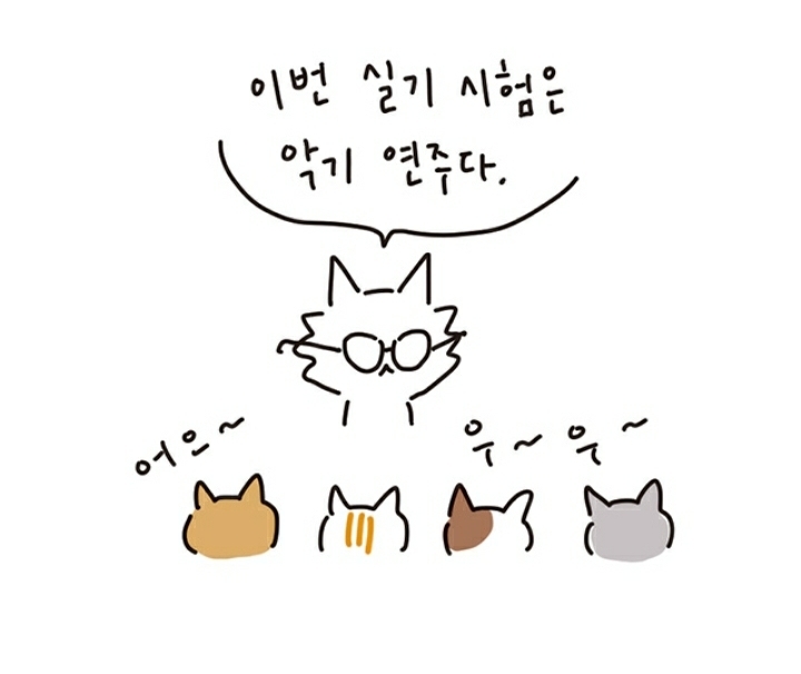 리코더도 못 부는 내가 음악 실기 80점을 받았던 이유 | 인스티즈