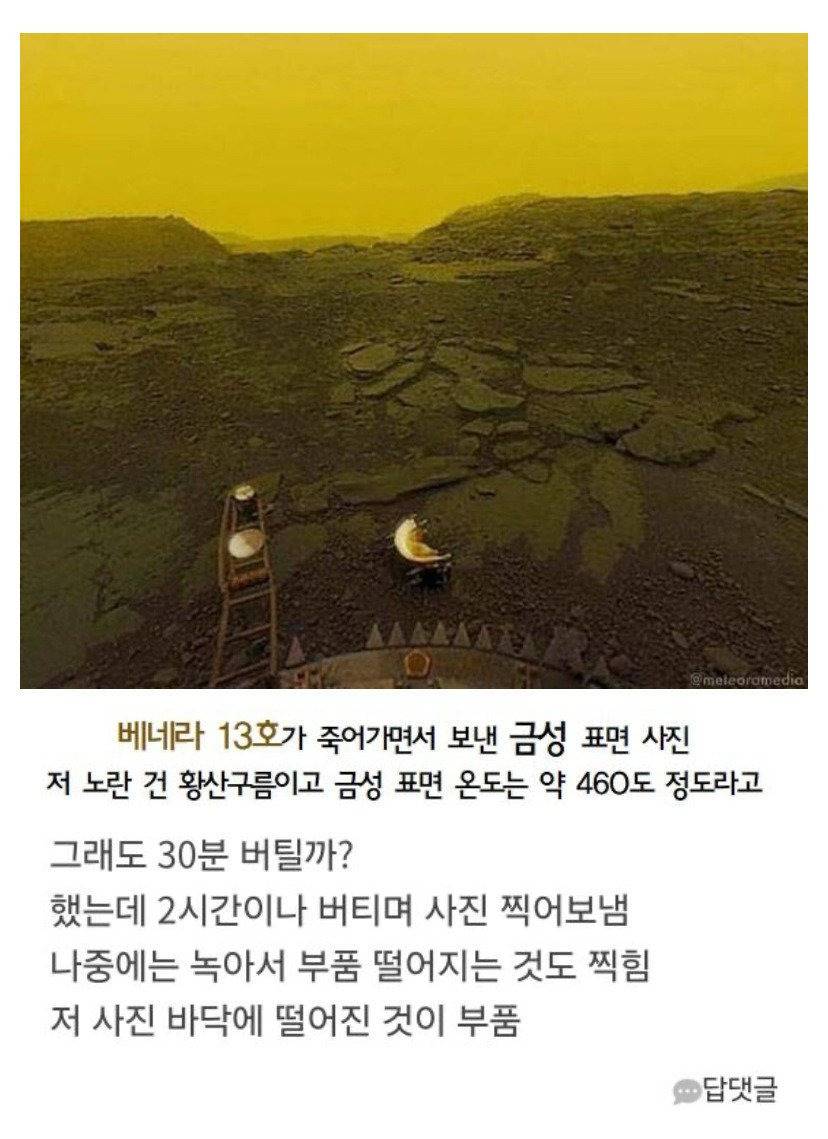 목숨걸고 버텨가며 사진 찍어보낸 친구.jpg | 인스티즈