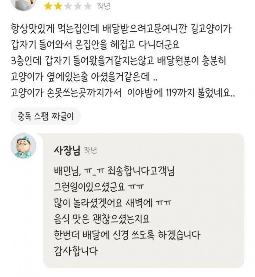 길고양이때문에 2점 | 인스티즈