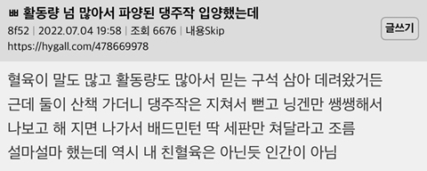 활동량 넘 많아서 파양된 댕댕이 입양했는데 | 인스티즈