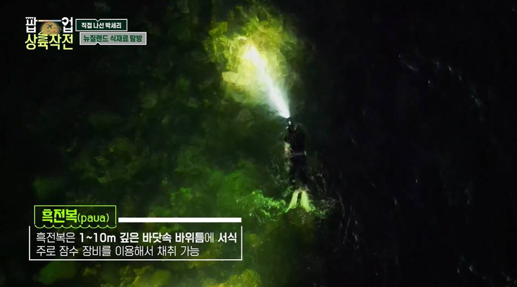 한국에선 먹어볼 수 없다는 뉴질랜드 대표 해산물...jpg | 인스티즈