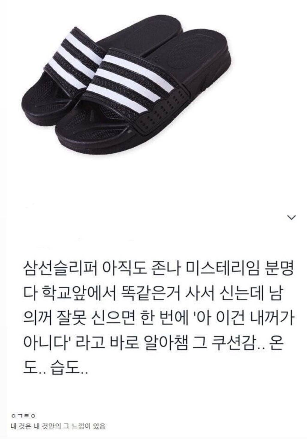 삼선슬리퍼 미스터리 | 인스티즈
