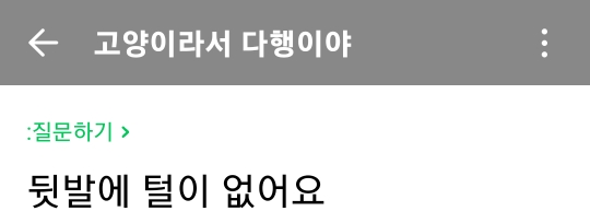 냥집사들이 처음보면 깜짝 놀라지만 사실 별거아님.jpg | 인스티즈