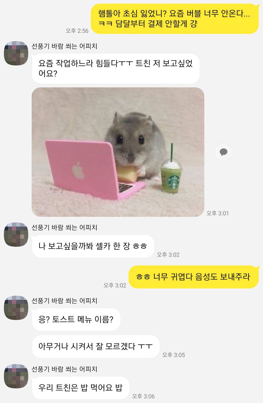 트친이 카톡을 버블로 씀.twt | 인스티즈