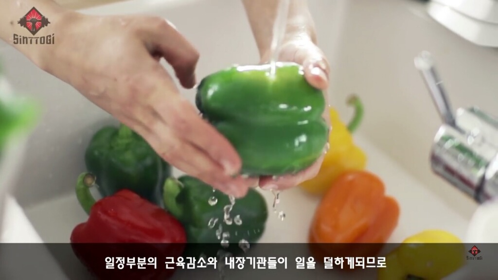 우리가 몰랐던 기초대사량의 진실 | 인스티즈