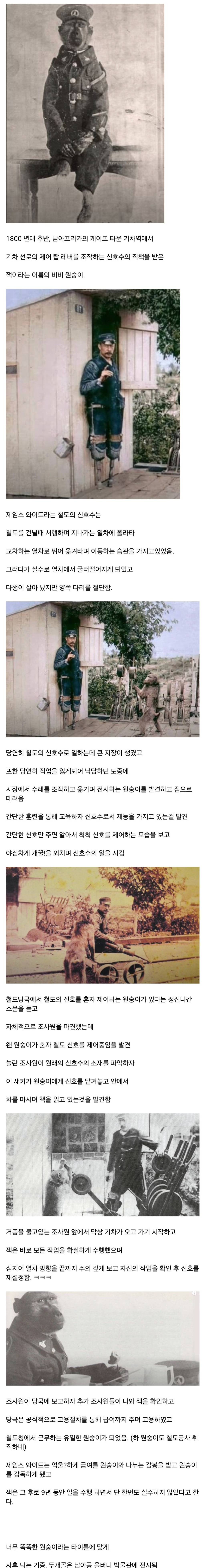 너무 똑똑해서 직장까지 구한 원숭이 | 인스티즈