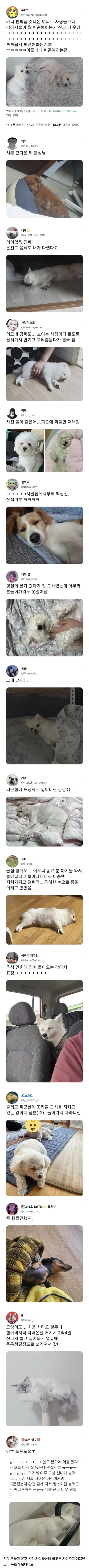 명절 여파를 온몸으로 받고 있는 반려 동물들 ㅋㅋㅋㅋㅋㅋㅋㅋ.jpg | 인스티즈