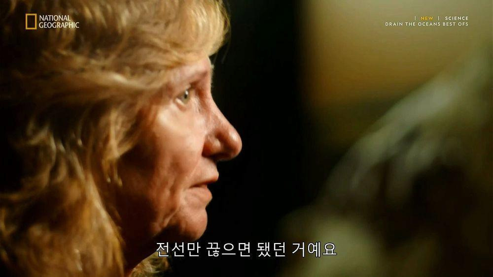 최근 사막에서 새롭게 발굴된 스핑크스 | 인스티즈