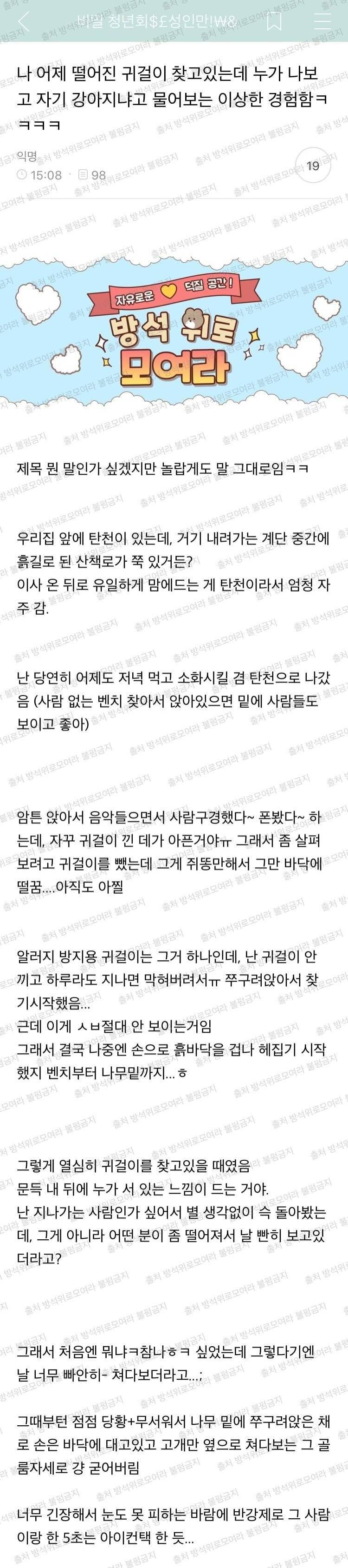 나 어제 떨어진 귀걸이 찾고있는데 누가 나보고 자기 강아지냐고 물어보는 이상한 경험함ㅋㅋㅋㅋ | 인스티즈