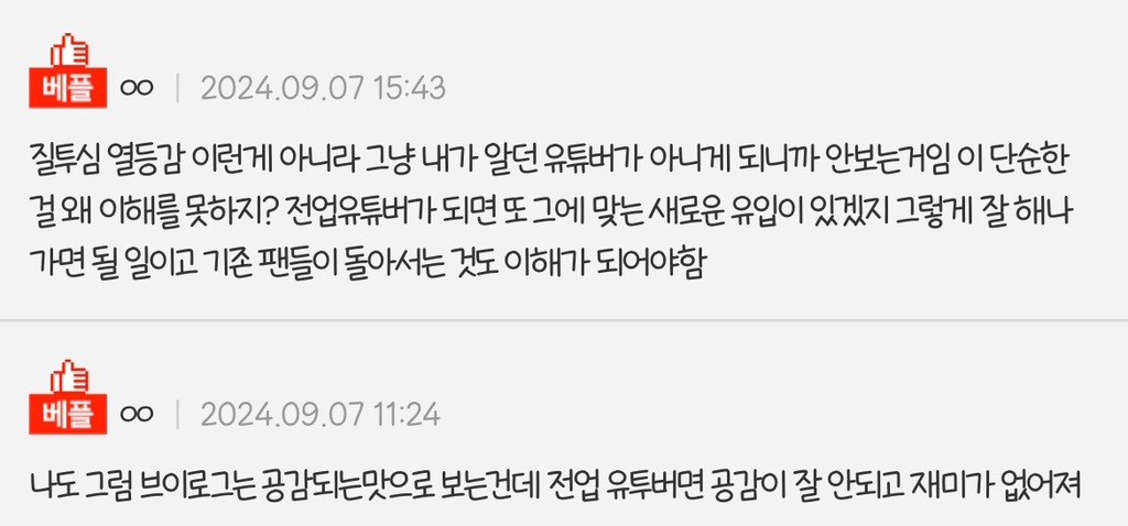 나만 유튜버가 일 그만두면 노잼됨?.pann | 인스티즈