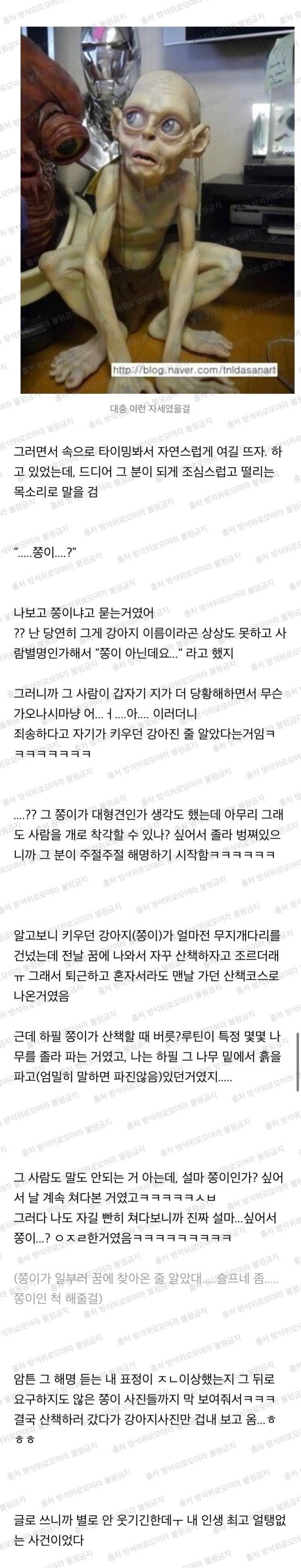 나 어제 떨어진 귀걸이 찾고있는데 누가 나보고 자기 강아지냐고 물어보는 이상한 경험함ㅋㅋㅋㅋ | 인스티즈