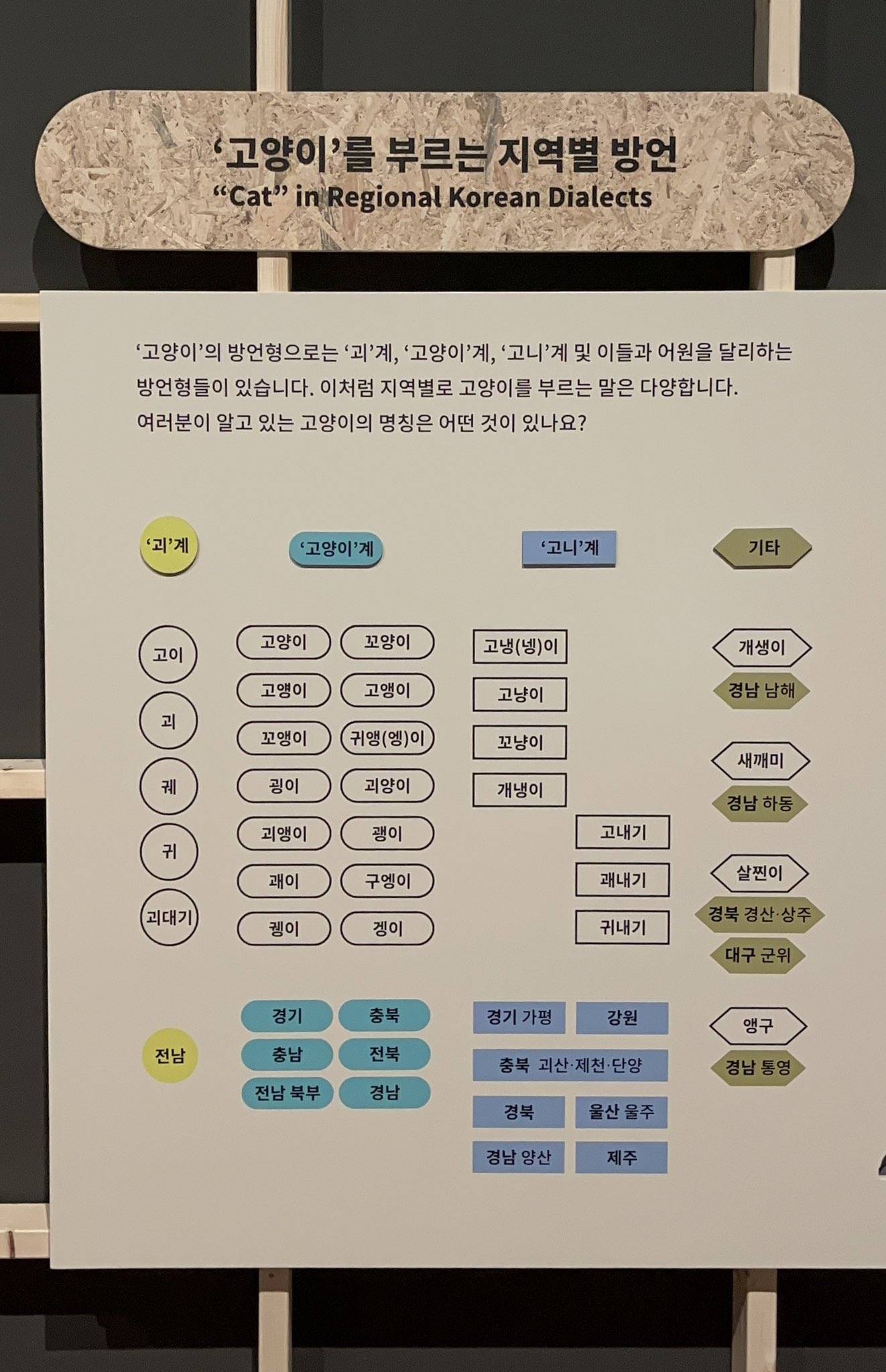 고양이를 부르는 지역별 방언.twt | 인스티즈