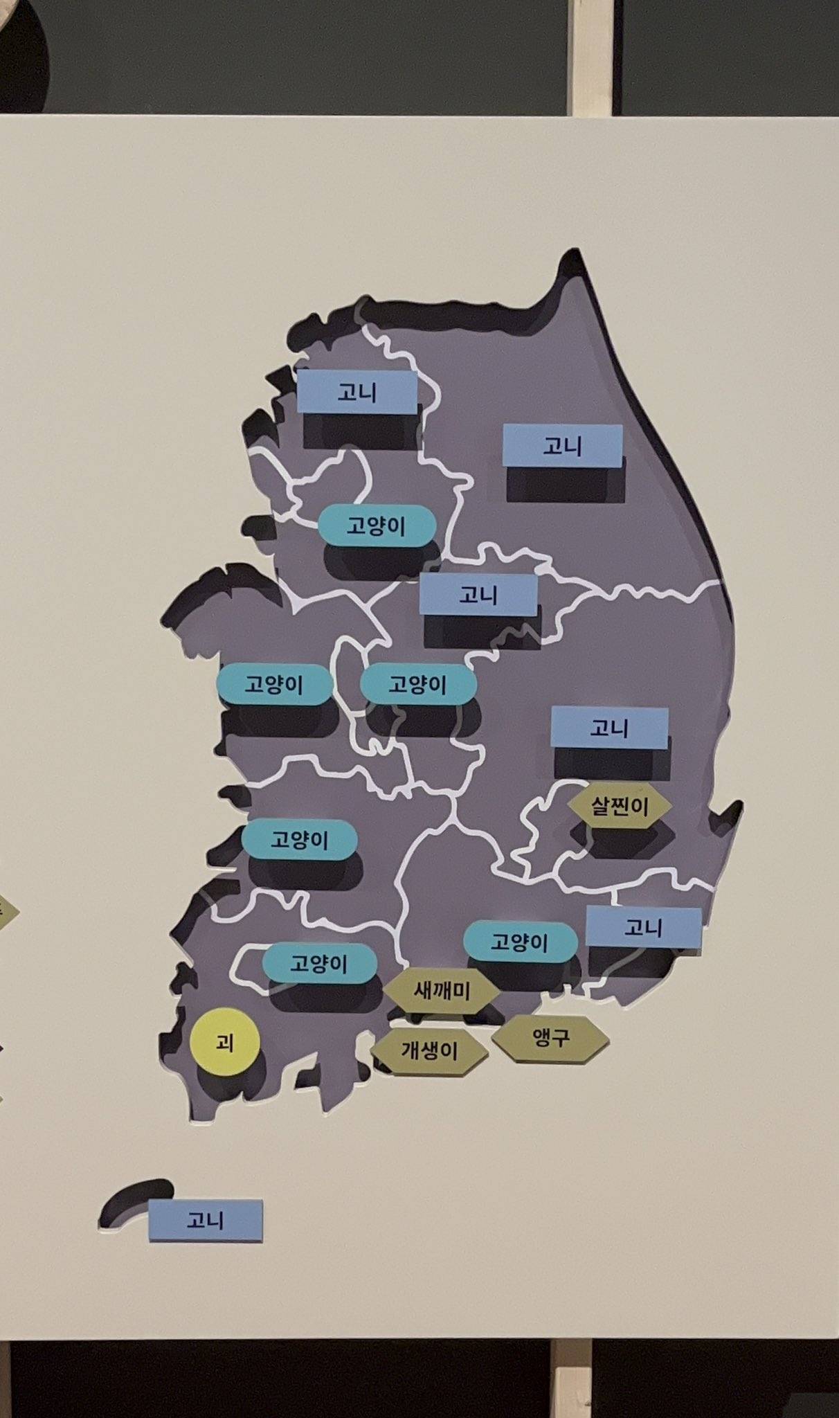 고양이를 부르는 지역별 방언.twt | 인스티즈