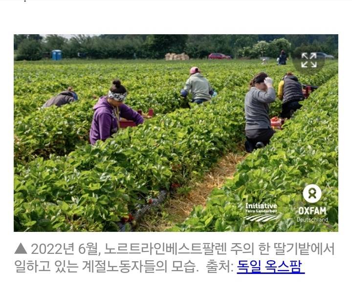 유럽사람들처럼 쉬엄쉬엄 여유롭게 살고싶다ㅠㅠ 우린 왜이모양일까.. | 인스티즈